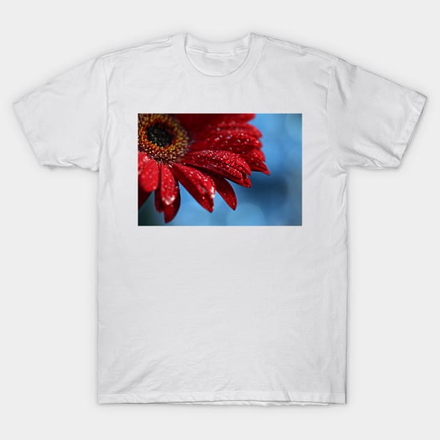 Blue Red Delicious T-Shirt by micklyn